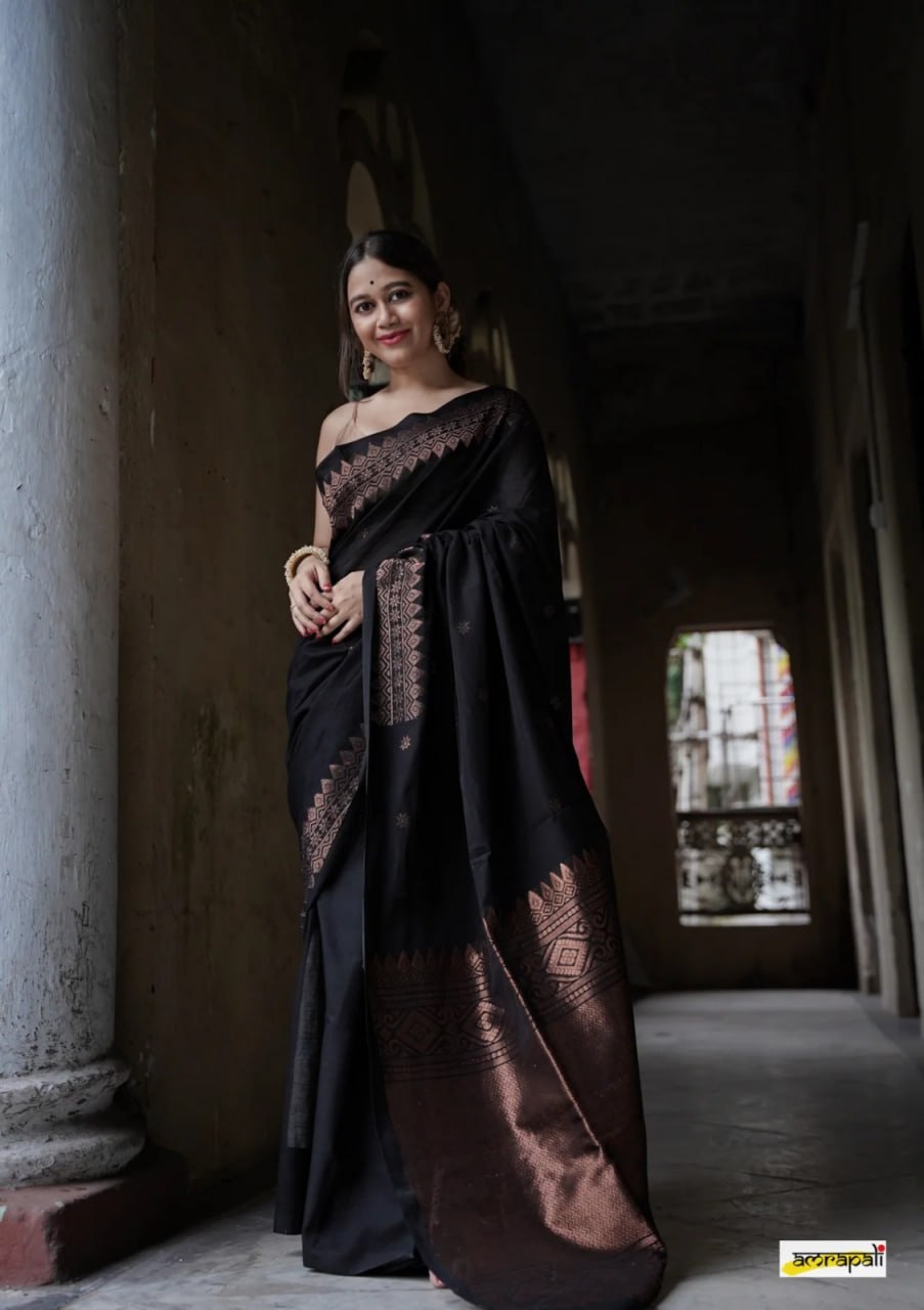 Elegant Sky Blue Banarasi Soft Silk Saree with Copper Zari & Colorful Print | 5.5 M Length | 5 Color Options | Lightweight & Graceful Drape YNF